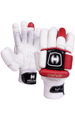 BATTING GLOVES HOUND 251 NOT OUT