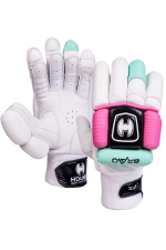 BATTING GLOVES HOUND 251 NOT OUT - Image 4